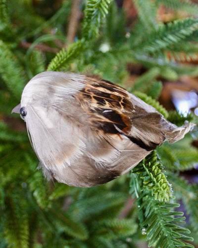 Plump Bird Ornaments