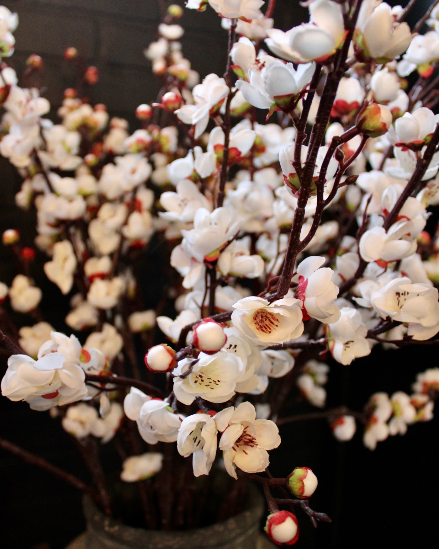 Cherry Blossom Branch