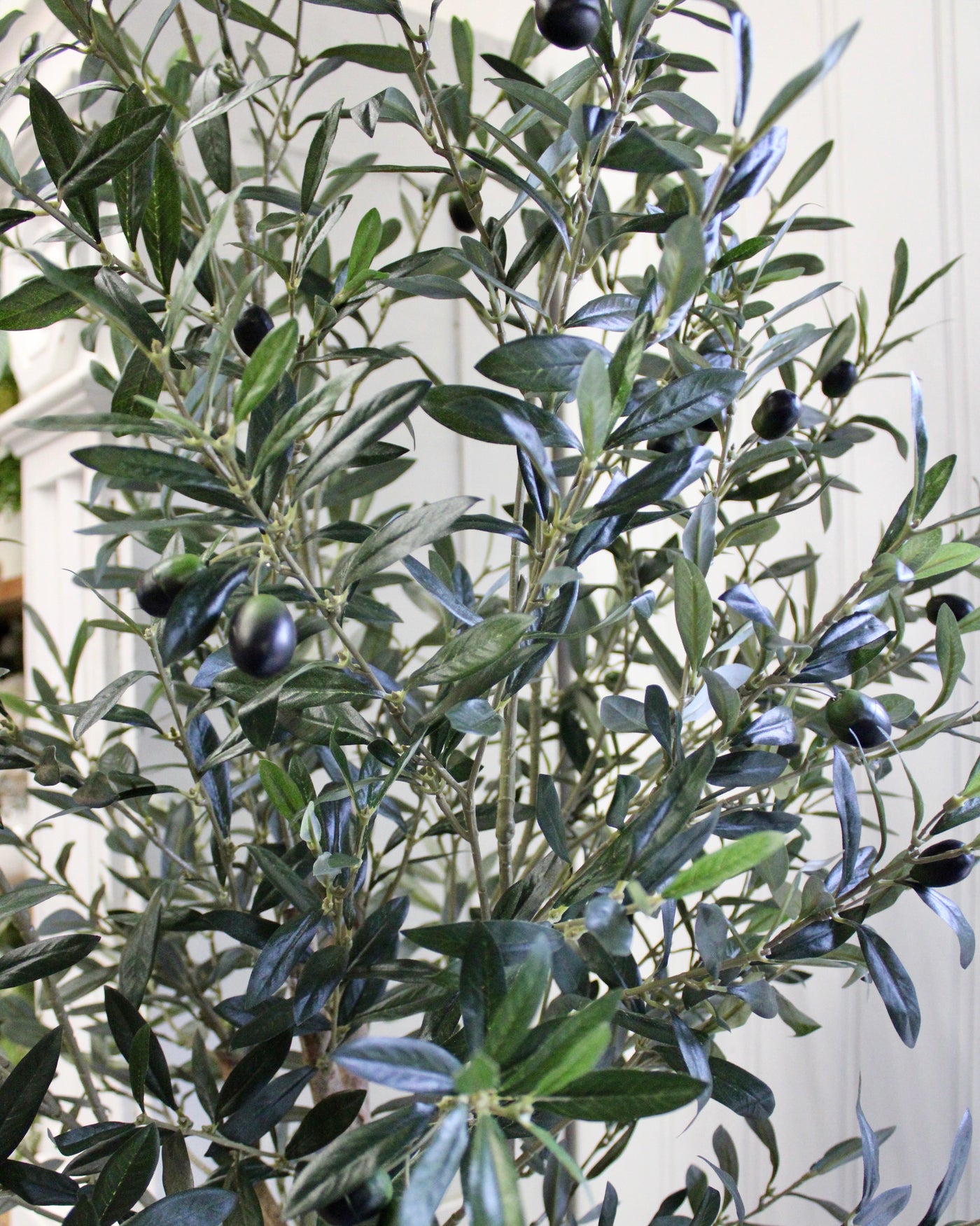 7.5’ Natural Trunk Olive Topiary Tree