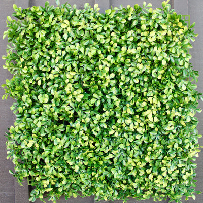 20” Boxwood Panel