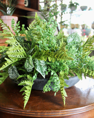 Mixed Fern & Pictus Centrepiece