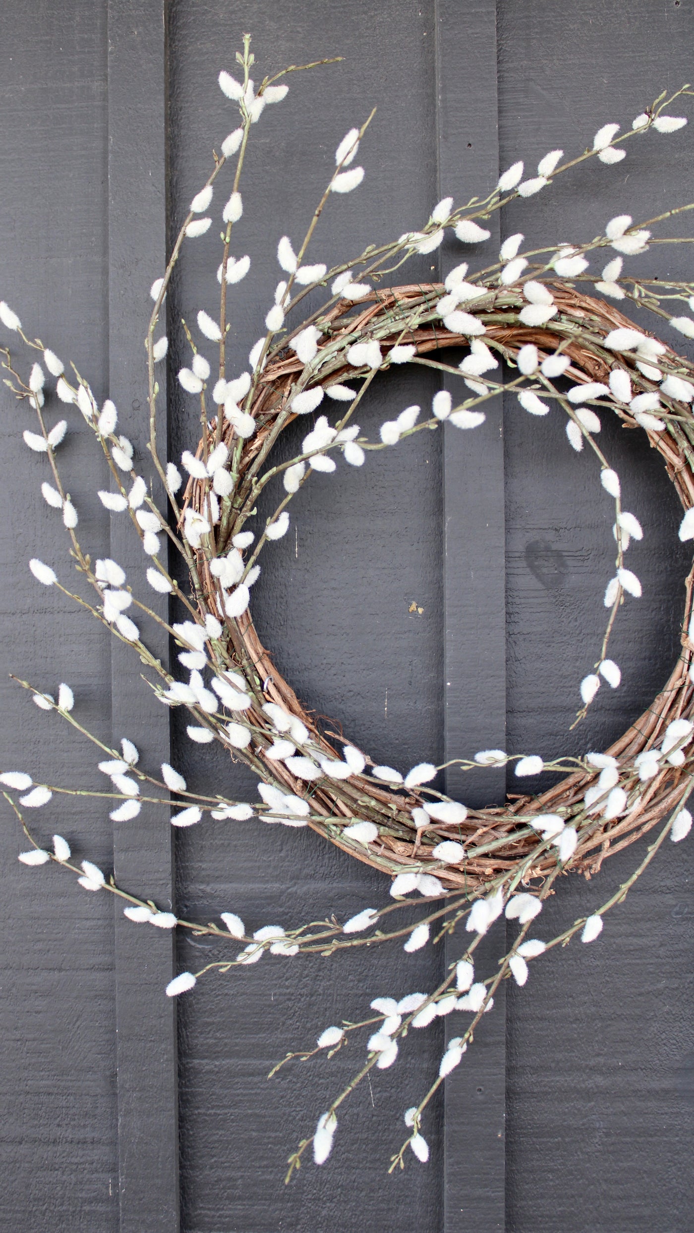 Pussy Willow Wreath