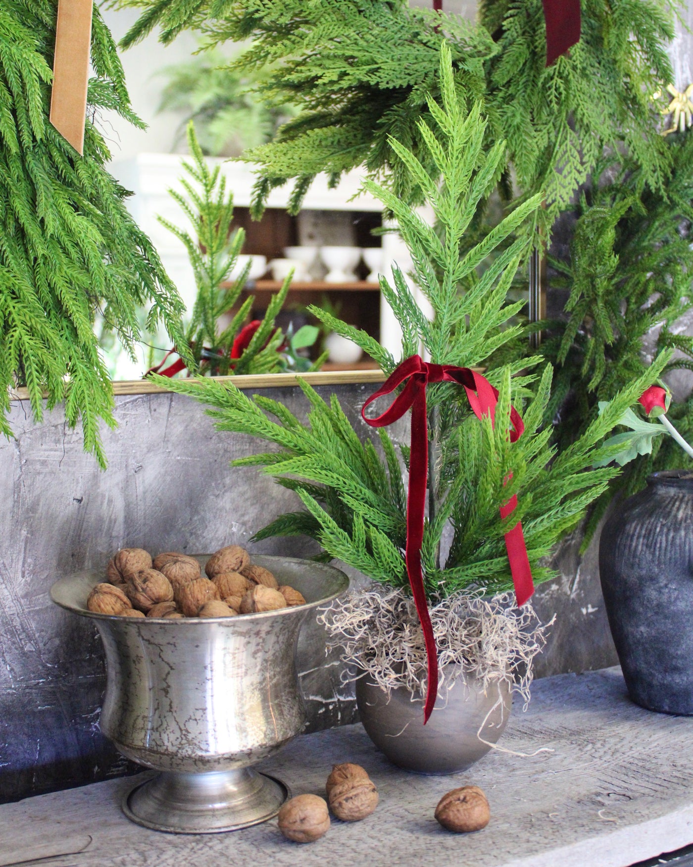 19” Fresh Touch Norfolk Pine Tree