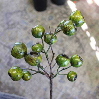 Lychee Pod Branch