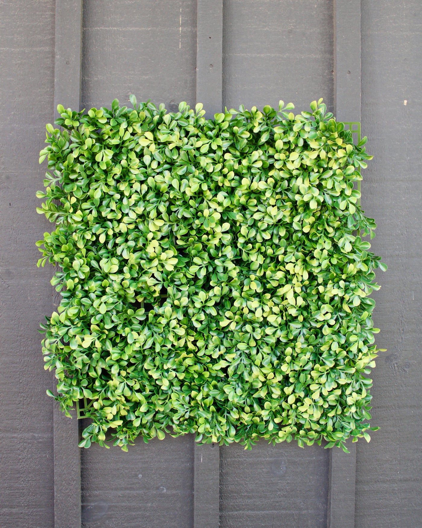 20” Boxwood Panel