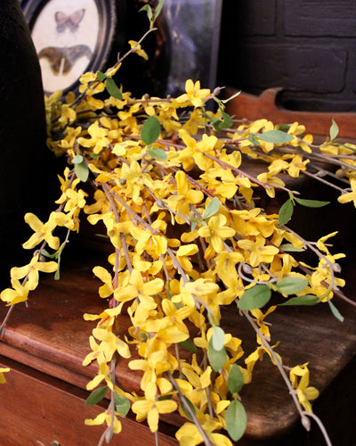 Forsythia Branch