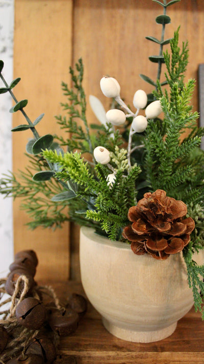 Potted Pine Cone & Cream Hypericum Arrangement