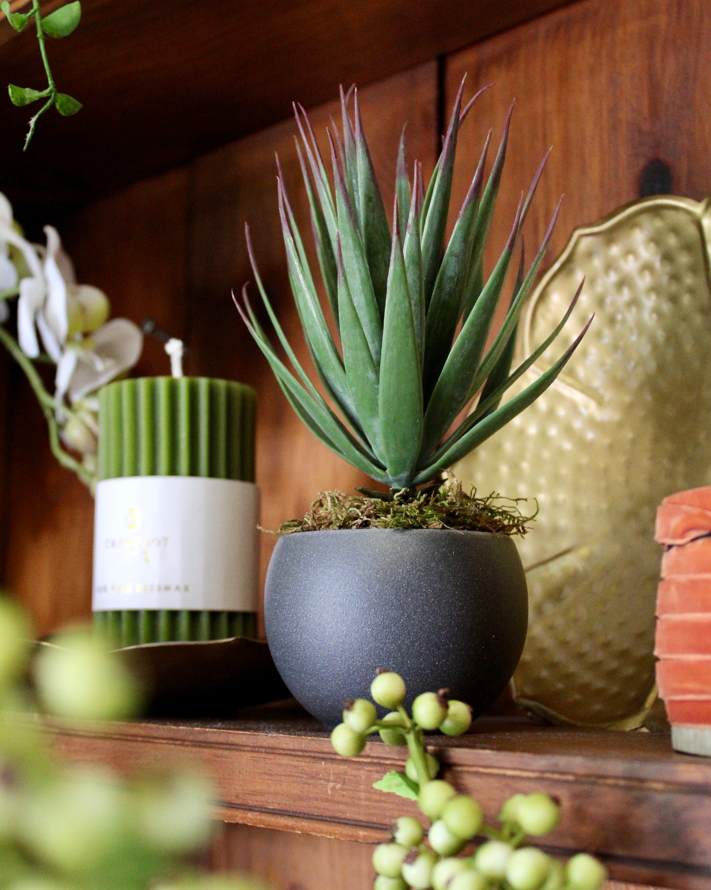 Potted Desert Yucca