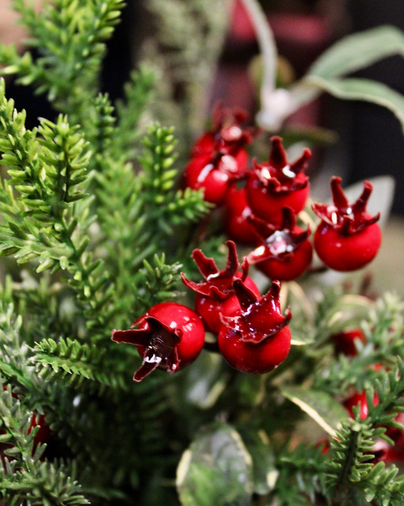 Potted Mini Red Berry & Pine Cone Arrangement