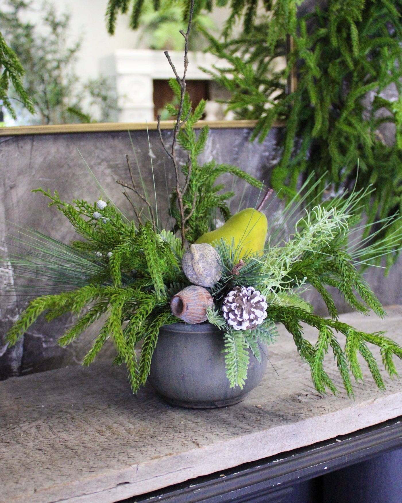 Potted Pine & Pear Arrangement