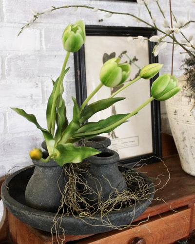 Green Tulip Bundle (5 Stems)