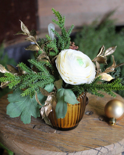 Potted Cream Ranunculus Mini Arrangement