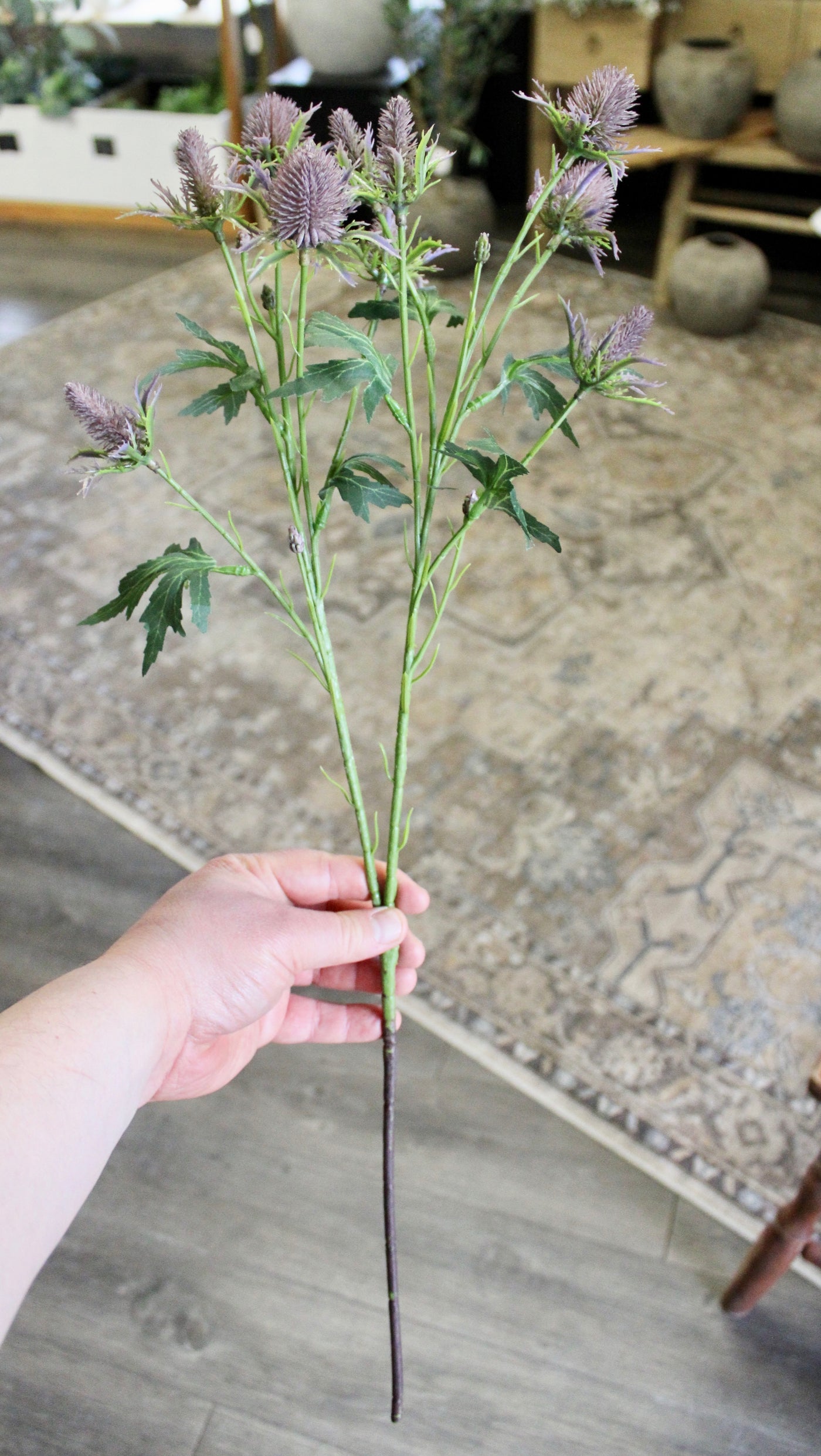 Purple Thistle Spray