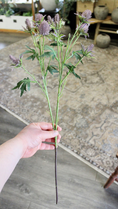 Purple Thistle Spray