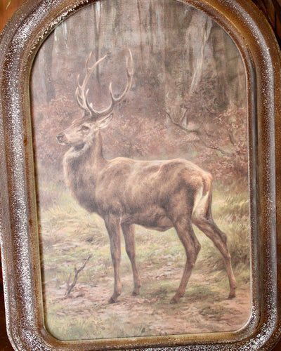 Arched Frame Stag Paintings