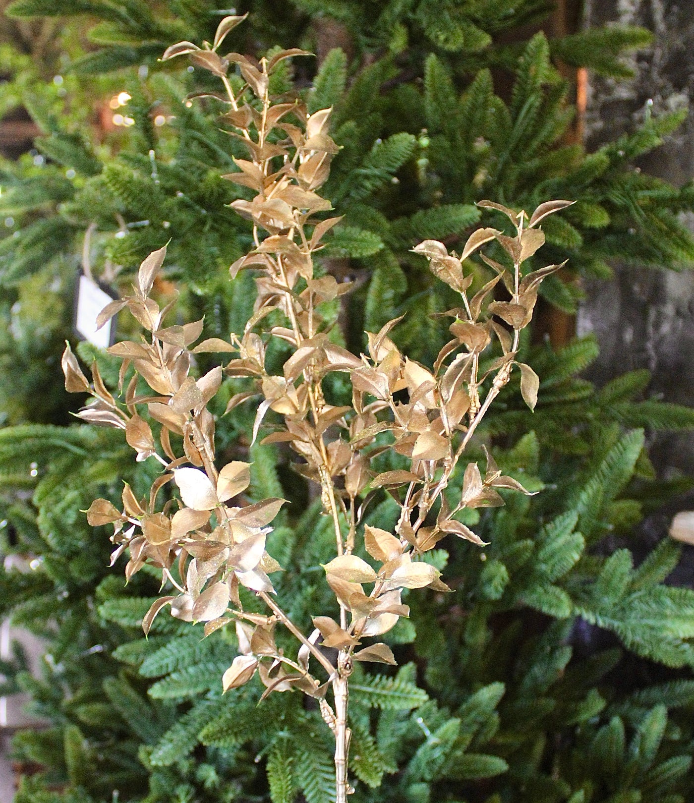 Gold Glittered Ruscus Spray