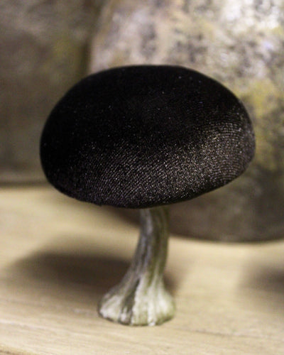 Velvet Mushrooms