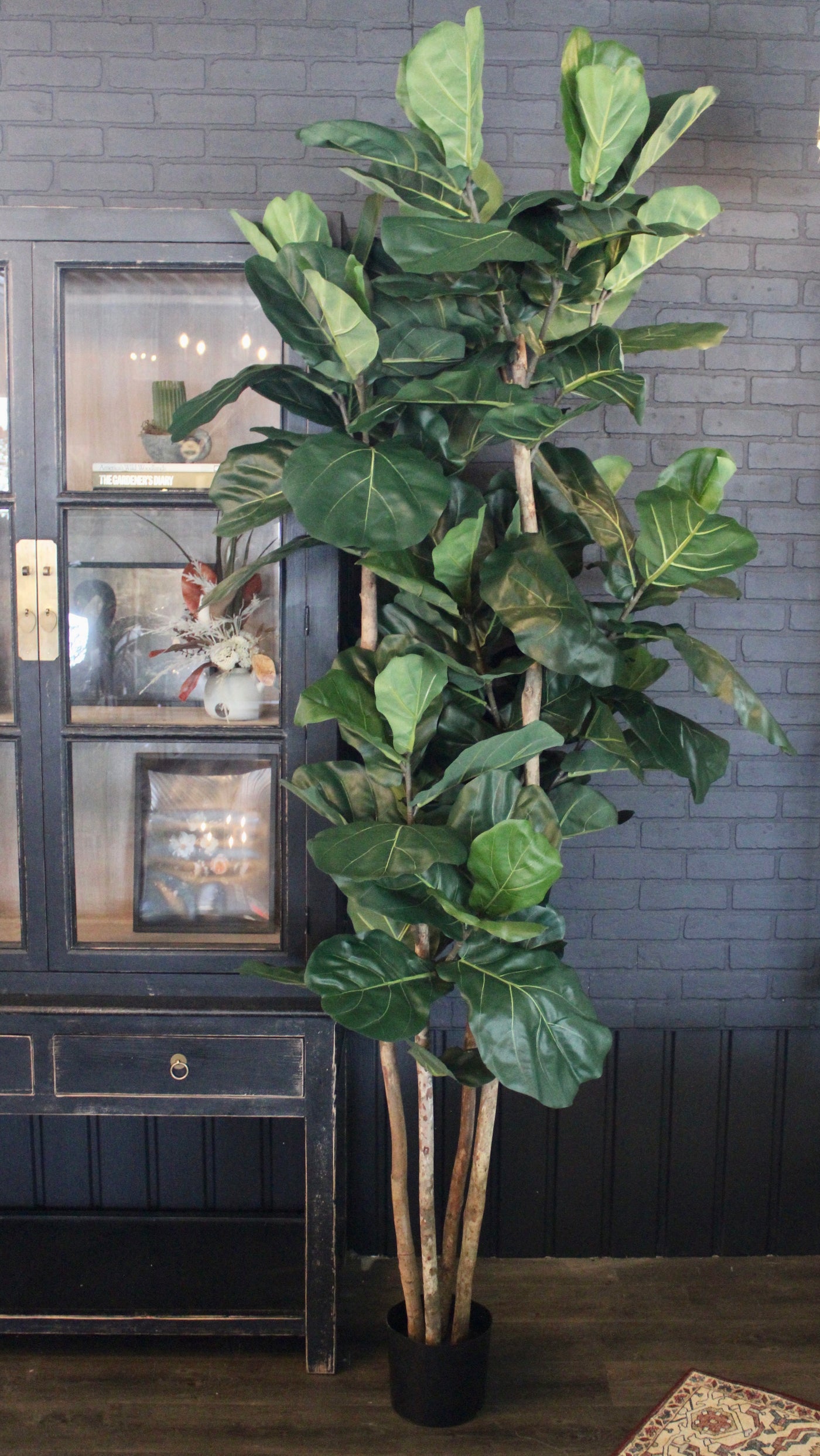 8’ Natural Trunk Fiddle Leaf Tree