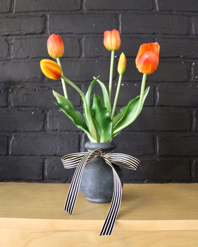 Potted Tulips