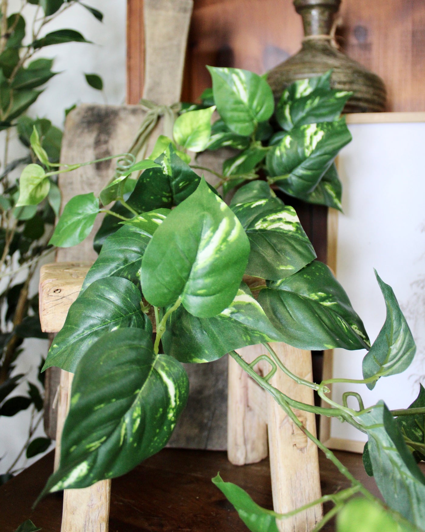 6’ Pothos Garland