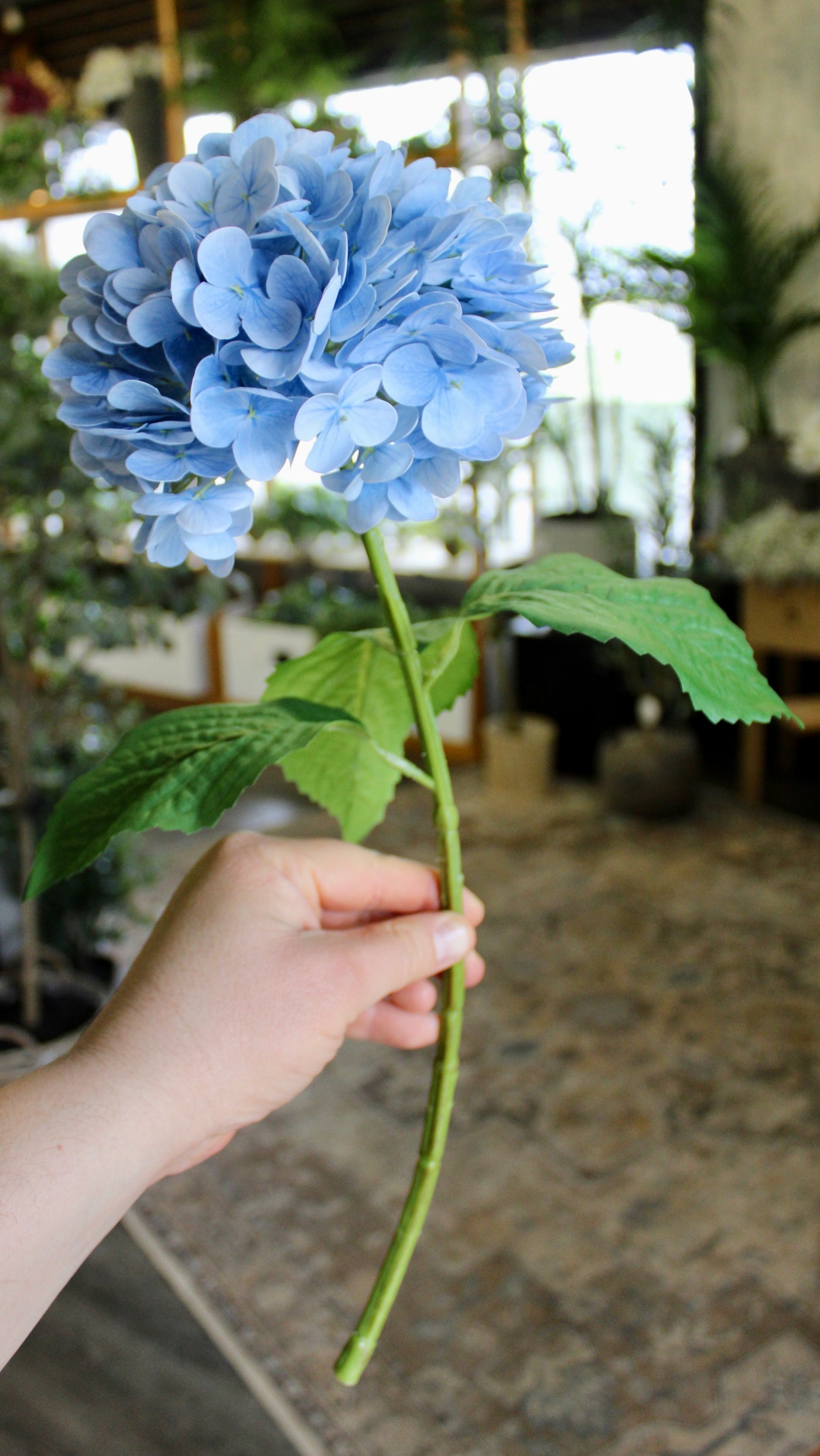 Powder Blue Hydrangea Stem