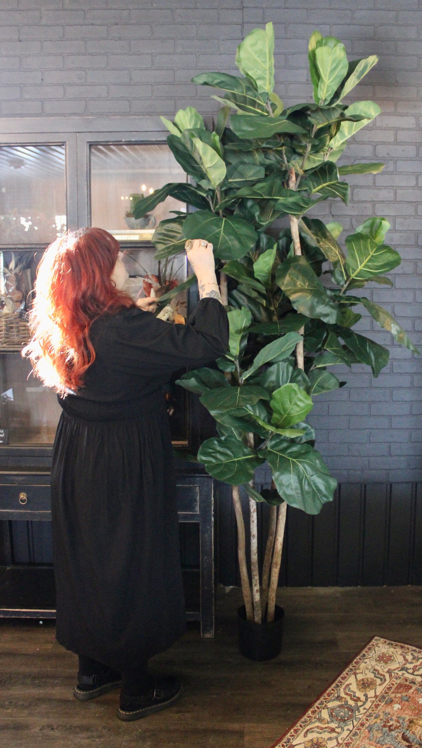 8’ Natural Trunk Fiddle Leaf Tree