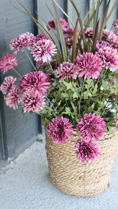 Mauve Mum “Drop-In”