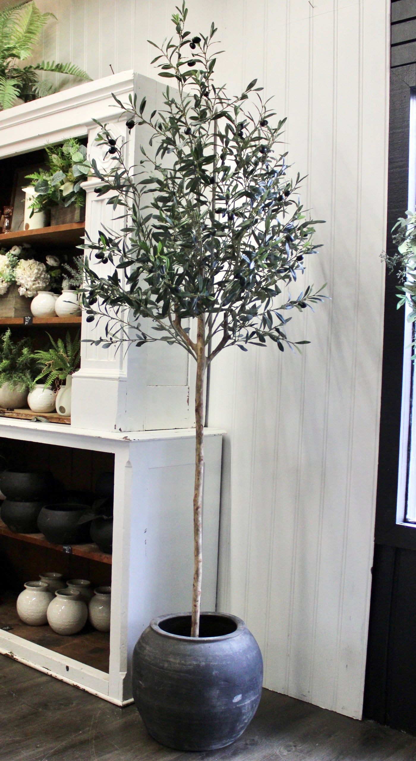7.5’ Natural Trunk Olive Topiary Tree