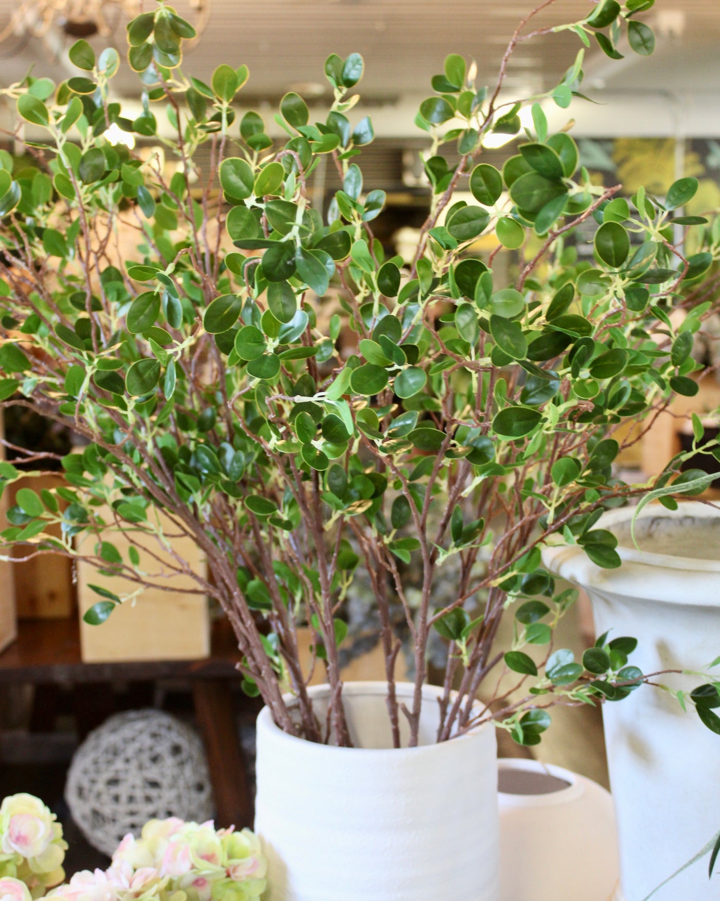 Mini Leaf Ficus Spray