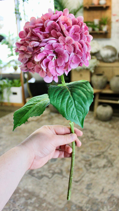 Magenta Hydrangea Stem