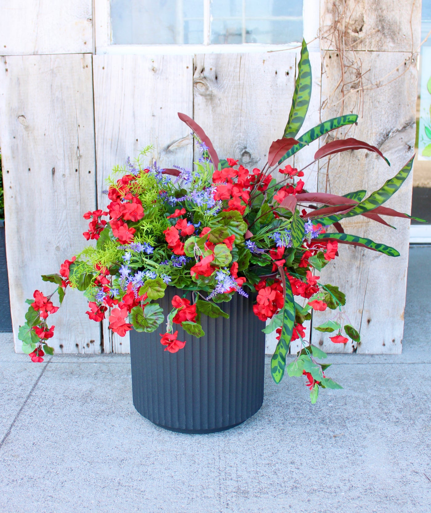 Hanging Basket/Drop-In Red