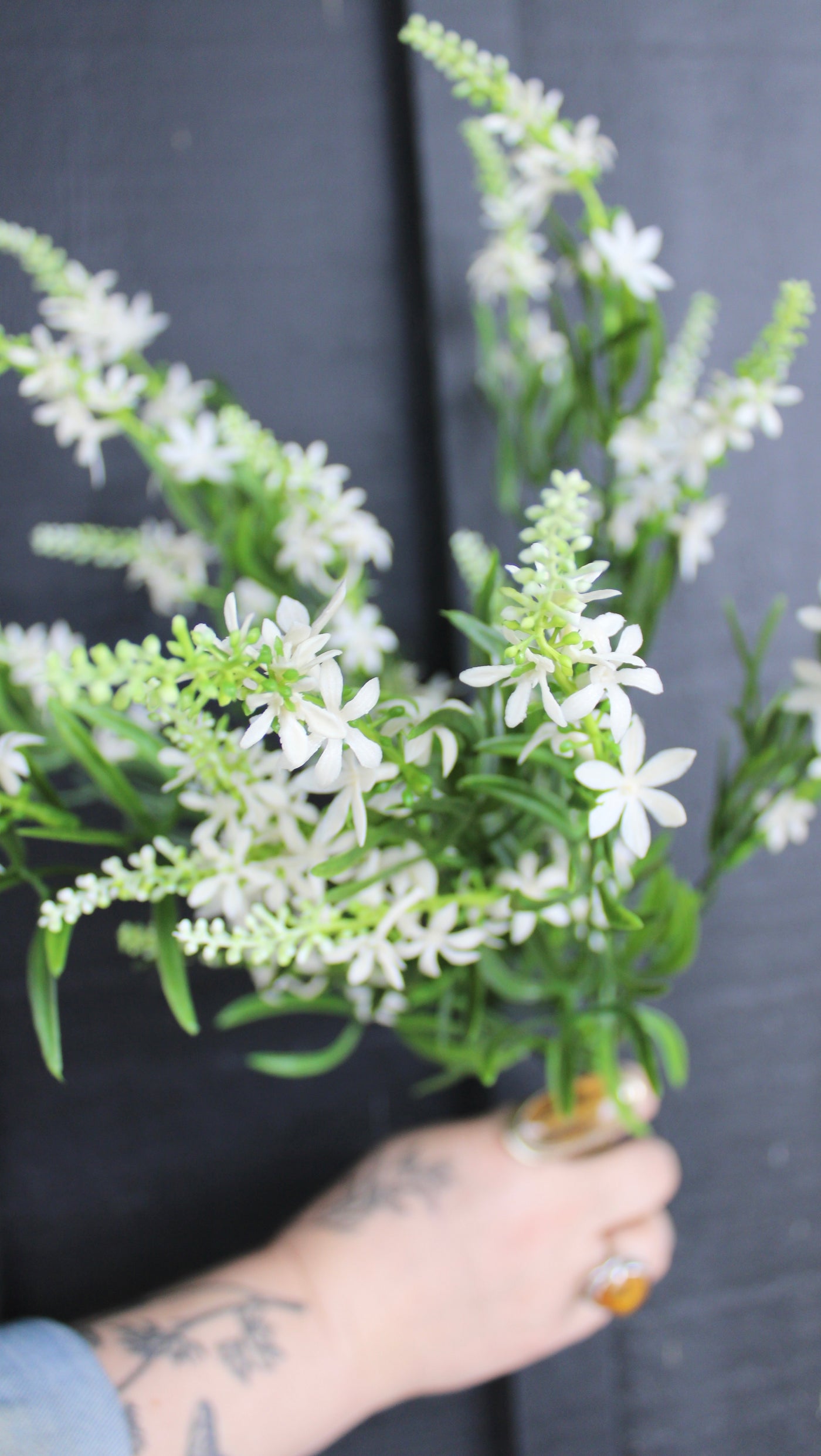 Sweet Veronica Bush White