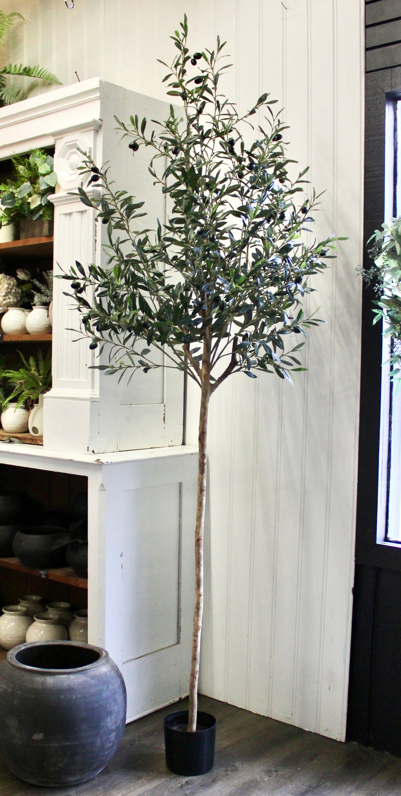 7.5’ Natural Trunk Olive Topiary Tree