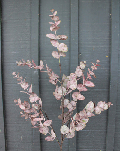 Burgundy Eucalyptus Spray