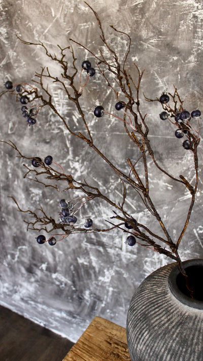 Blueberry Branch