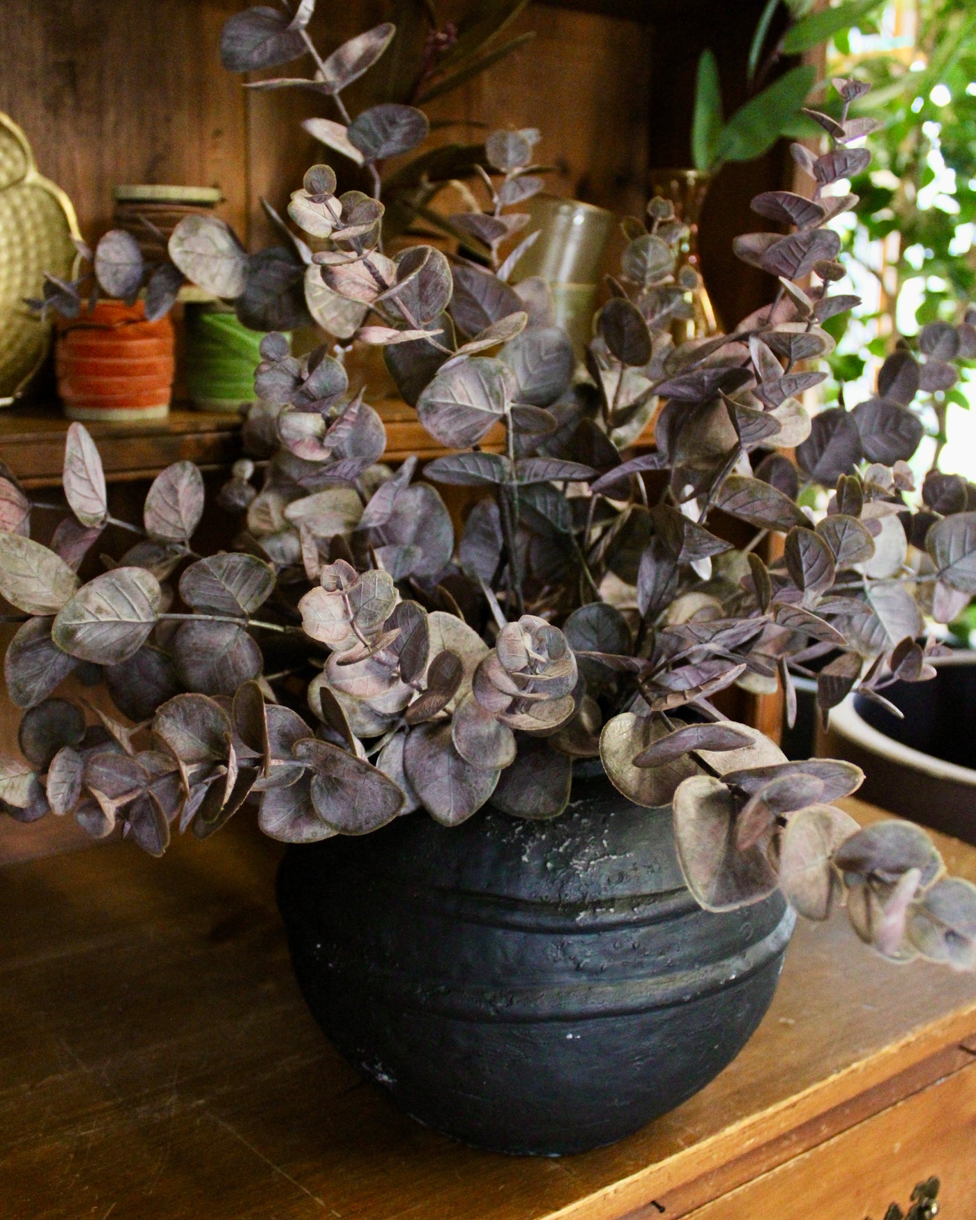 Burgundy Eucalyptus Spray