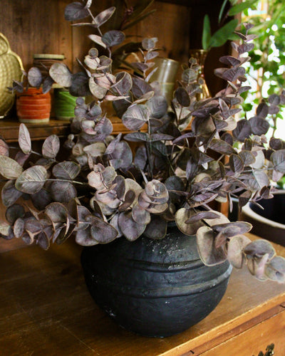 Burgundy Eucalyptus Spray