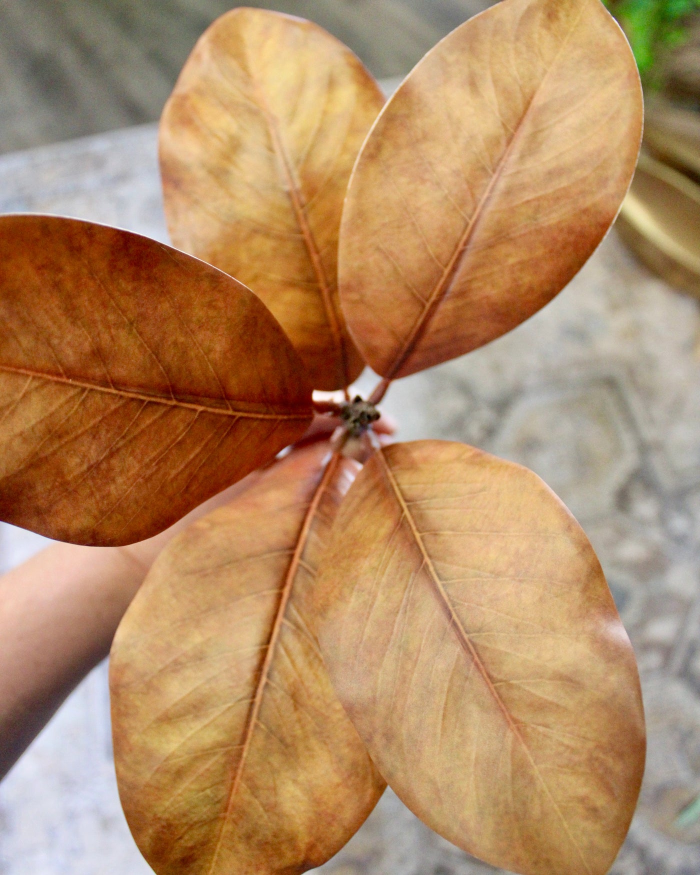 Brown Magnolia Spray