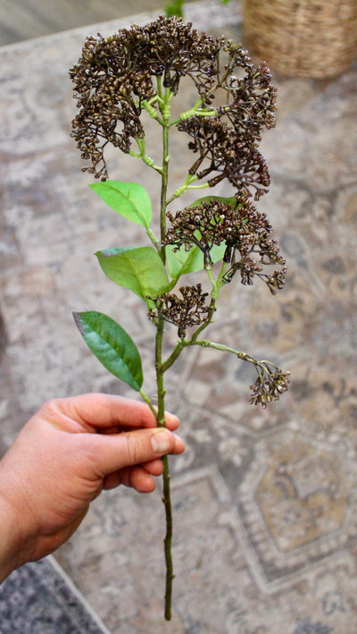 “Dried Look” Brown Sedum Stem