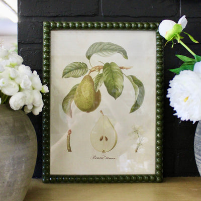 Framed Pear Prints