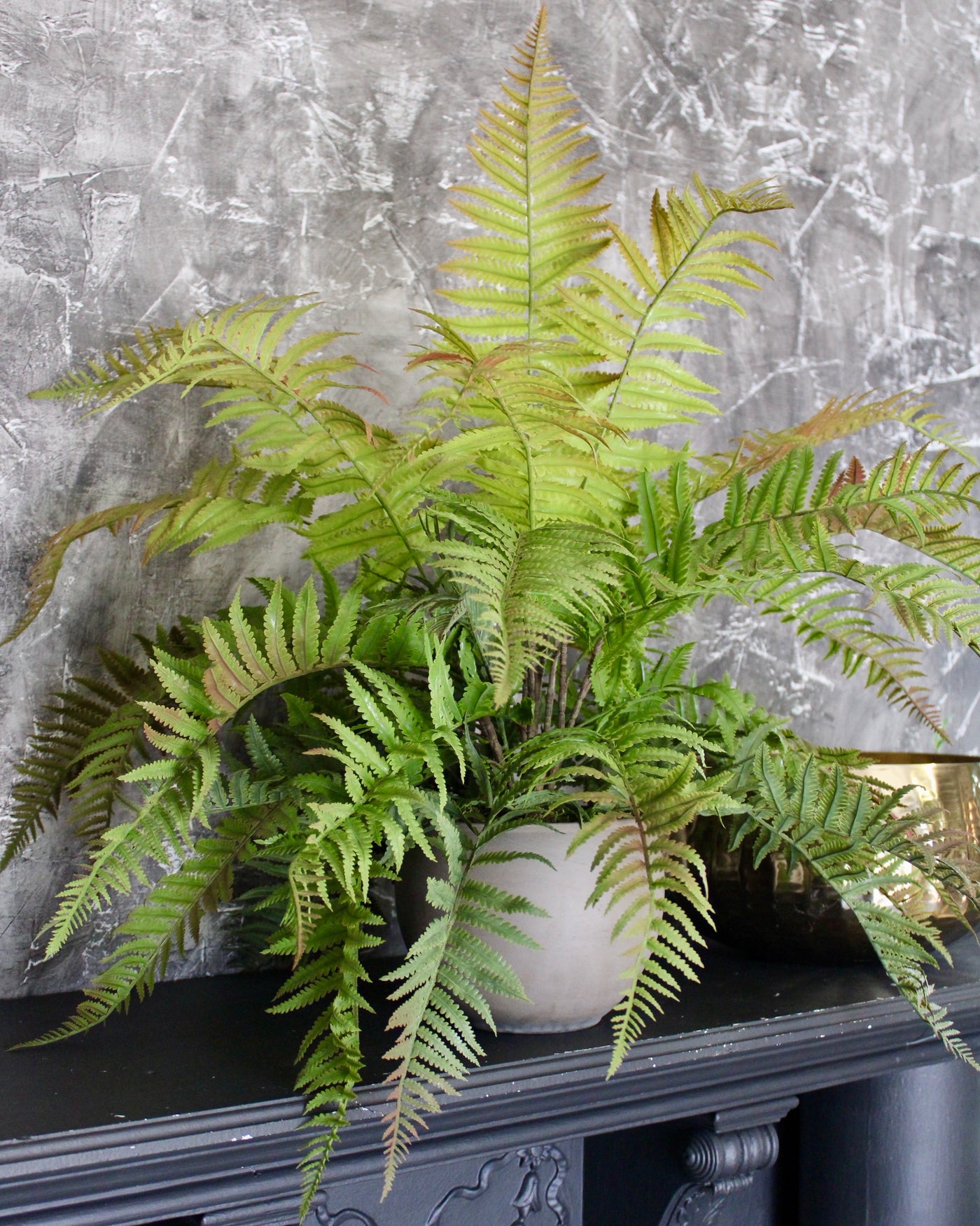 Green & Red Lady Fern Bush
