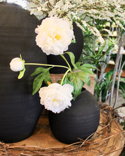White Peony Spray