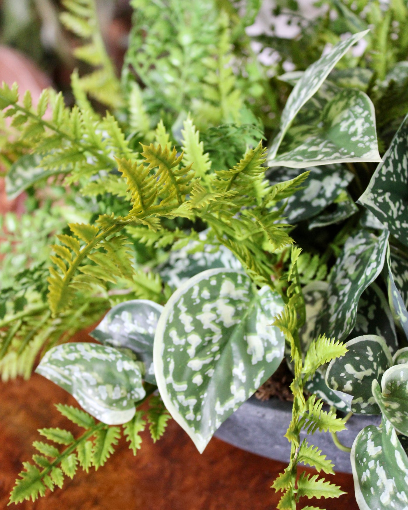 Mixed Fern & Pictus Centrepiece