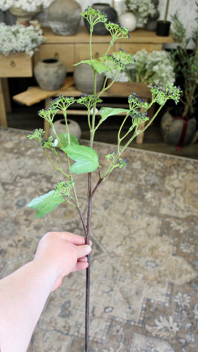 Budding Branch