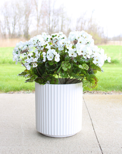 Geranium Drop-In White