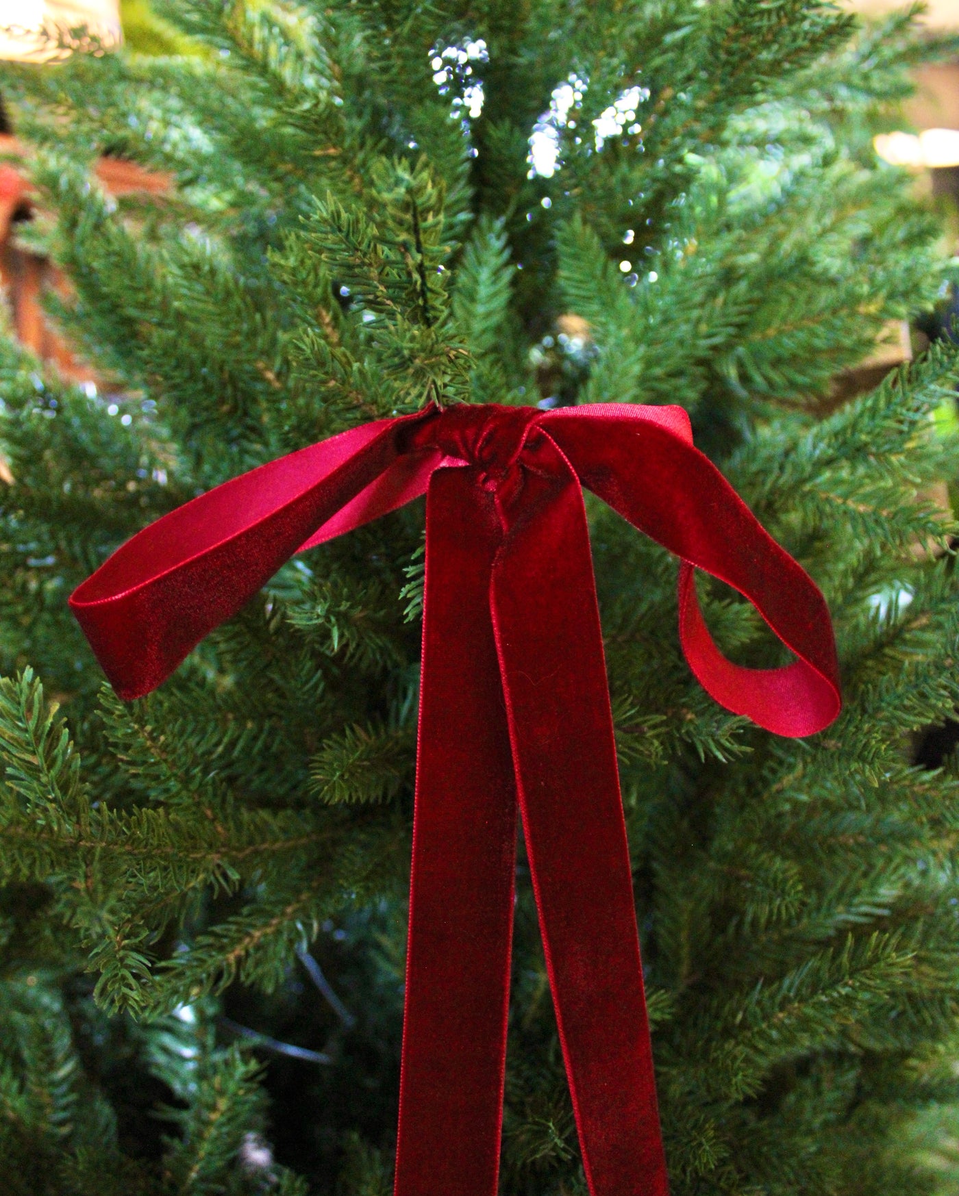 1” Velvet Ribbon Bows - 24” Long