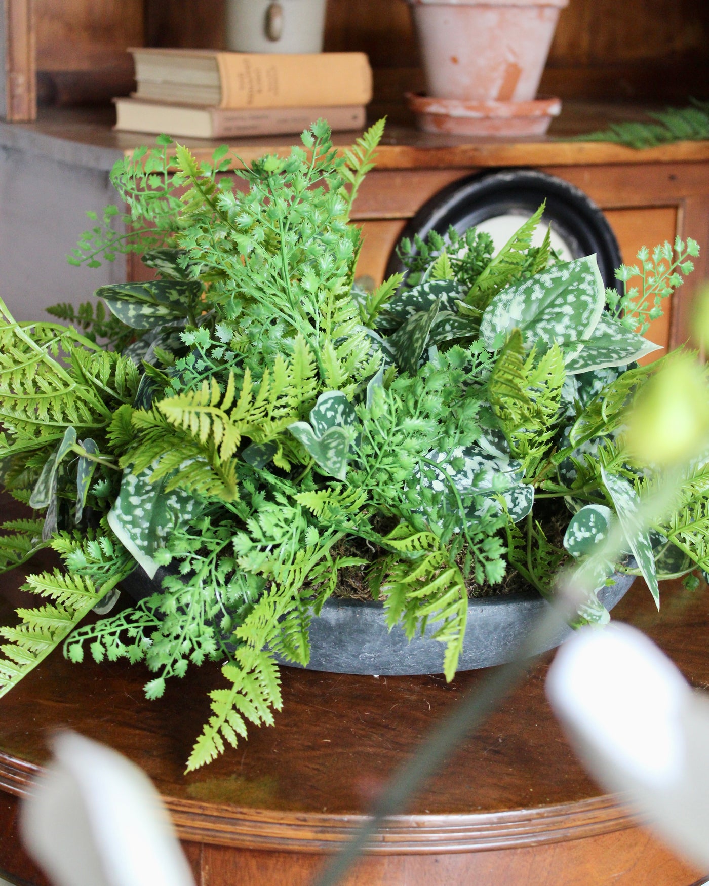 Mixed Fern & Pictus Centrepiece