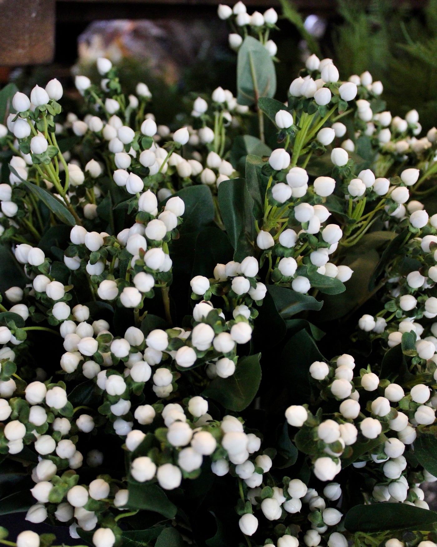 White Hypericum Berry Spray