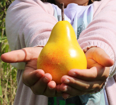 Faux Yellow Pear