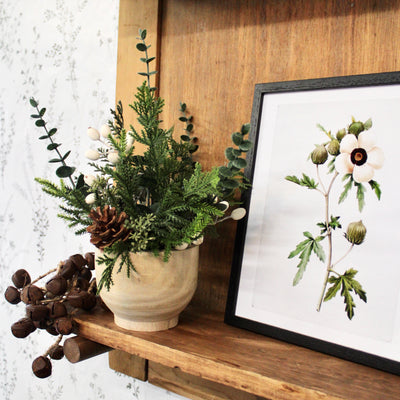 Potted Pine Cone & Cream Hypericum Arrangement